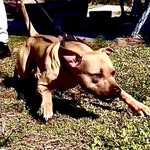 Chris Galati - @chris_galati_jr - Instagram