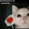 chrisgaleno7 - @chris.galeno5 - TikTok