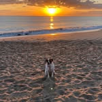 Chris Galka - @dpdgolfer - Instagram