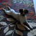 Chris Galka - Facebook