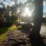 Chris gallegos - @chrisfromda503 - Instagram