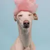 Christine Gallienne - @christine.gallien - TikTok