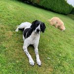 @chrisgalligan223 - Instagram