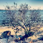 Chris Gallop - @godot2cute - Instagram