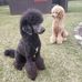 Christopher Gamache - Facebook