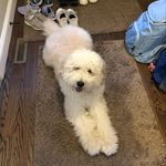 Chris Ganci - @chrisganci0627 - Instagram
