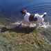 Chris Sarni Ganci - Facebook