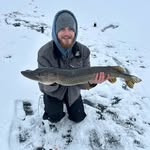 Chris Gaucher - @chrisgaucher - Instagram