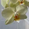 christelgaucher - @christelgaucher - TikTok