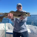Chris Gaughan - @chrisgaughan - Instagram
