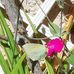 Christian Gaumer - Facebook