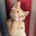 Chris Gazda - Facebook