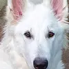 christinegeib272 - @christinegeib272 - TikTok