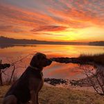 Chris Geier - @geier_chris - Instagram