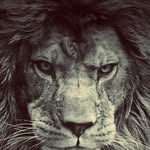 Chris Geile - @dlions71 - Instagram