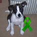 Chris Geisel - Facebook