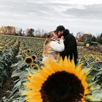 Chris Geiselhart - @chrisgeiselhart - Instagram