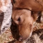 Christel Geisel - @chrsgeisel - Instagram
