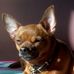 Gma Chris - Facebook