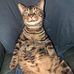 Christian Gendreau - Facebook