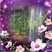 Christophe Genier - Facebook