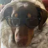 Crittergennette - @chrisgennette - TikTok
