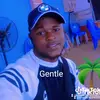 Gentle Chris - @gentle.chris0 - TikTok
