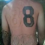 Chris Gephart - @chrisgephart - Instagram