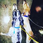 Chris Gephart - @cj_gephart - Instagram