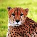 Chris Gerow - Facebook
