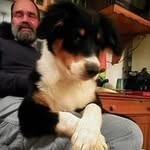 Chris Gervais - @cgerv_ais - Instagram