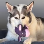 Christine Gingras - @christine_and_tasy - Instagram