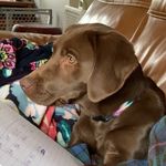 Chris Giunta - @cdgiunta - Instagram