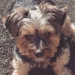 Chris Glancy - @chrisglancy - Instagram
