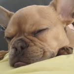 Chris Glancy - @dawnee97 - Instagram