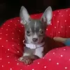Christopher Glancy - @christopher.glanc3 - TikTok