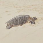 Chris Gleason - @chrisgleason046 - Instagram