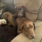 Chris Gleason - Facebook
