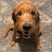 Chris Glidden - Facebook