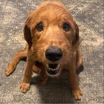 Chris Glidden - @crglidden - Instagram