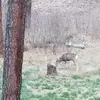 Chris Gober - @chris.gober6 - TikTok