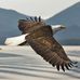 Chris Gober - Facebook