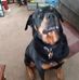 Chris Golas - Facebook