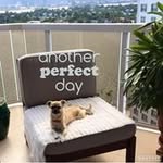 Chris Mc Goldstein - @goldstein.chris - Instagram