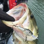 Chris Goodin - @goodin_c - Instagram