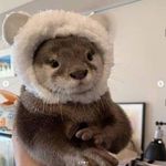 Chris Goodin - @elchuzo8 - Instagram