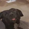 Chris Goodin - @chris.goodin - TikTok