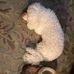 Chris Goodrum - Facebook