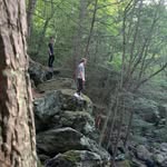 Chris Goslin - @chrisgoslin12 - Instagram