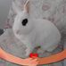 Christiane Gratwohl - Facebook